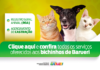 Barueri amplia serviços para pets com RGA e agendamento de castração online