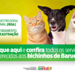 Barueri amplia serviços para pets com RGA e agendamento de castração online