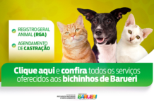 Barueri amplia serviços para pets com RGA e agendamento de castração online