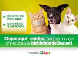 Barueri amplia serviços para pets com RGA e agendamento de castração online