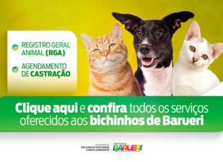 Barueri amplia serviços para pets com RGA e agendamento de castração online