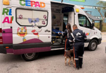 Barueri realiza resgate de animais com ambulância veterinária por meio do CEPAD