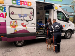 Barueri realiza resgate de animais com ambulância veterinária por meio do CEPAD