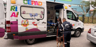 Barueri realiza resgate de animais com ambulância veterinária por meio do CEPAD