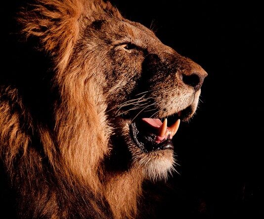 Imposto de Renda 2026: prazo para declarar começa em 23 de março e vai até 29 de maio