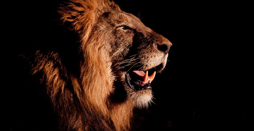 Captura de tela 2026-03-16 135614