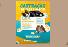 Jandira abre inscrições online para campanha de castração de cães e gatos