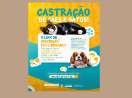 Jandira abre inscrições online para campanha de castração de cães e gatos