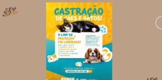 Jandira abre inscrições online para campanha de castração de cães e gatos